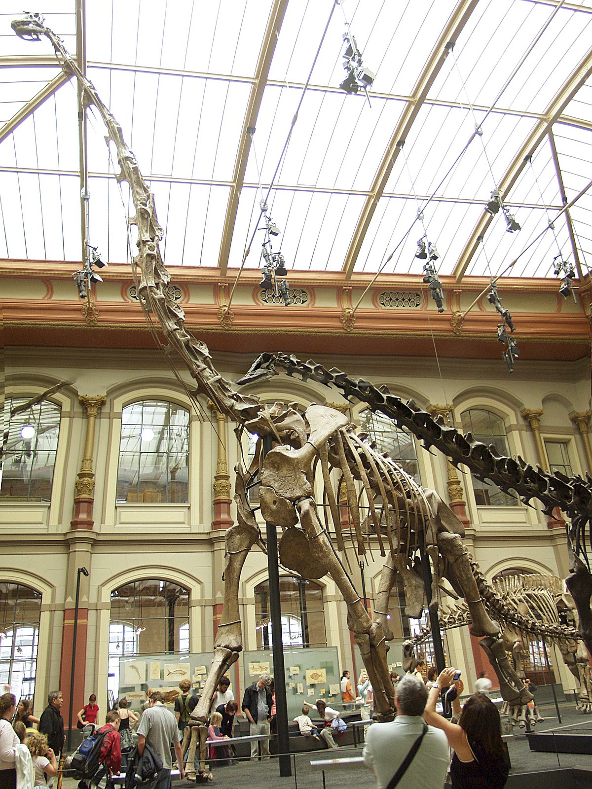 Museum für Naturkunde der Humboldt-Universität zu Berlin