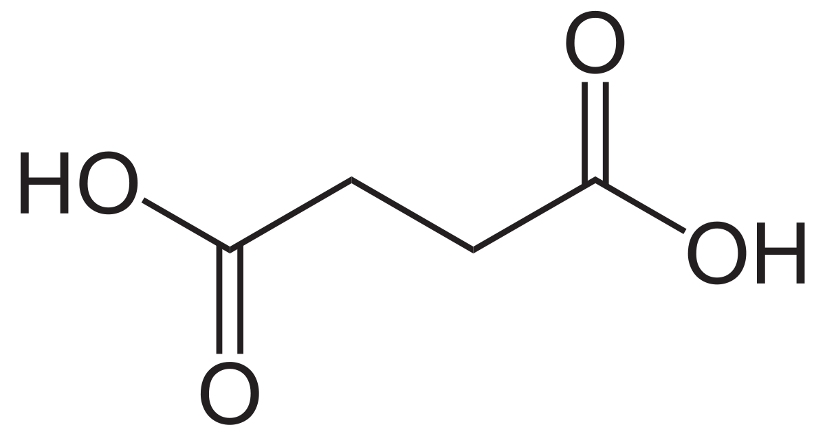 Acide succinique