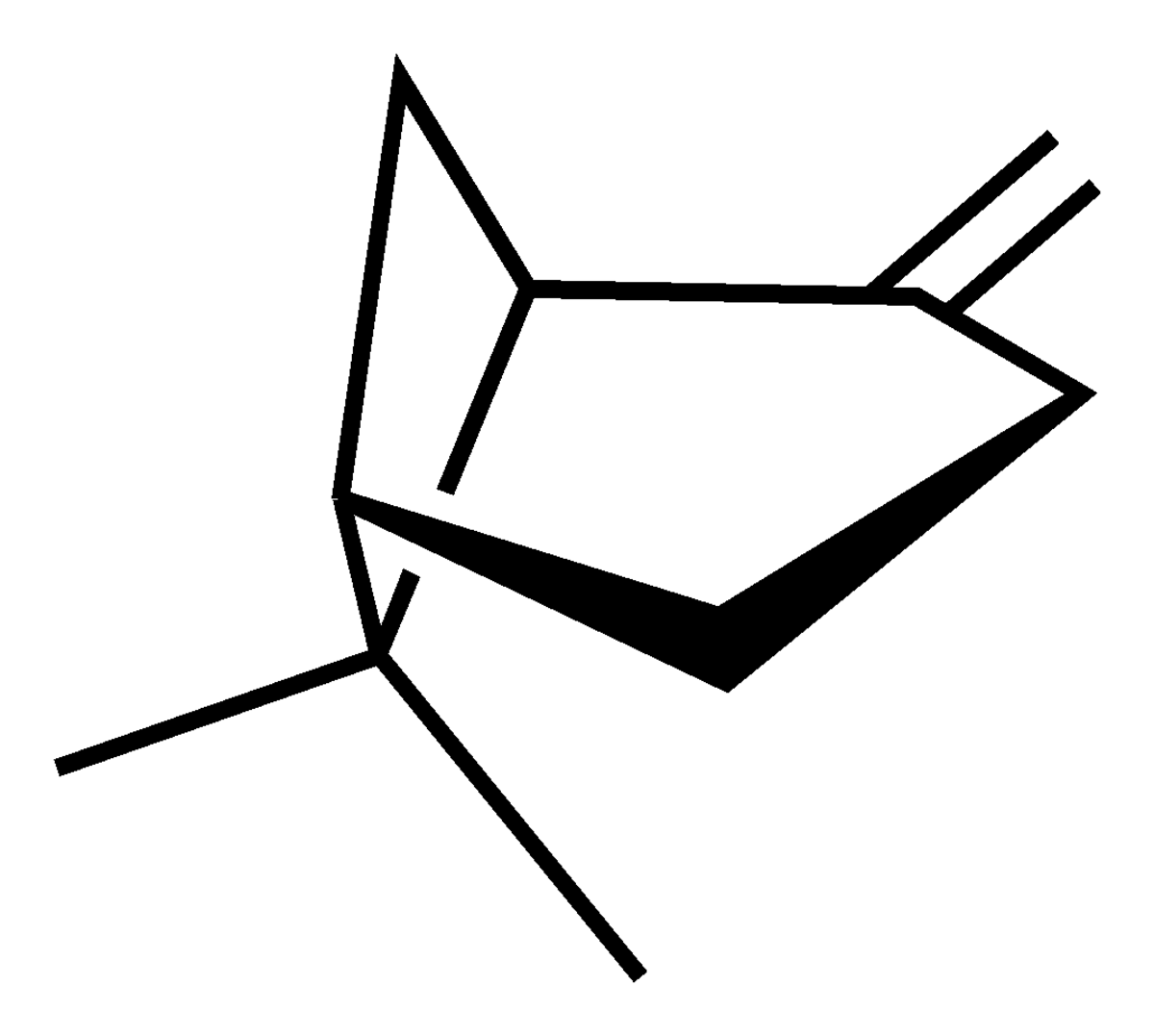 Bêta-pinène