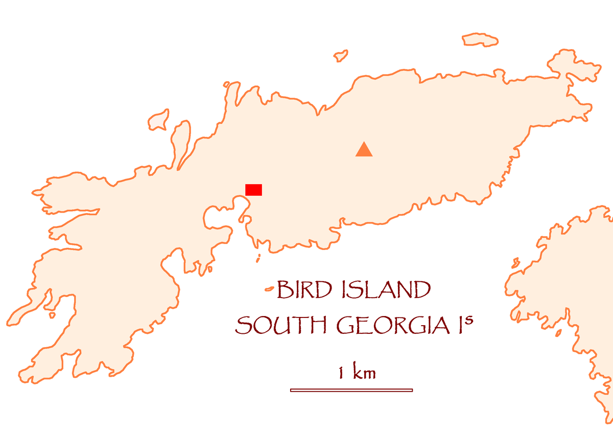 Île Bird