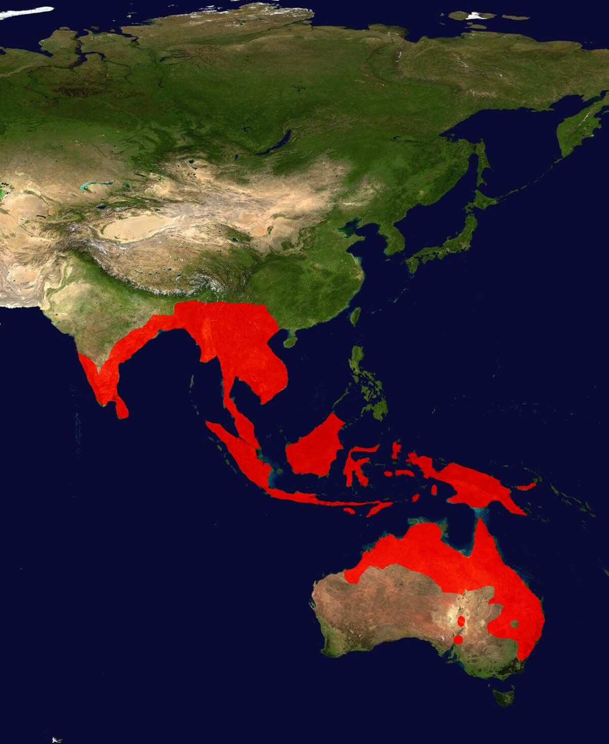 Black-Necked Stork Range Map.jpg