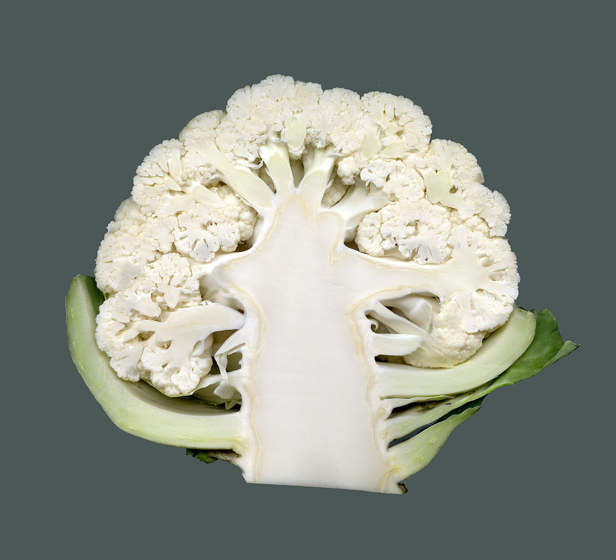 Blumenkohl-1.jpg