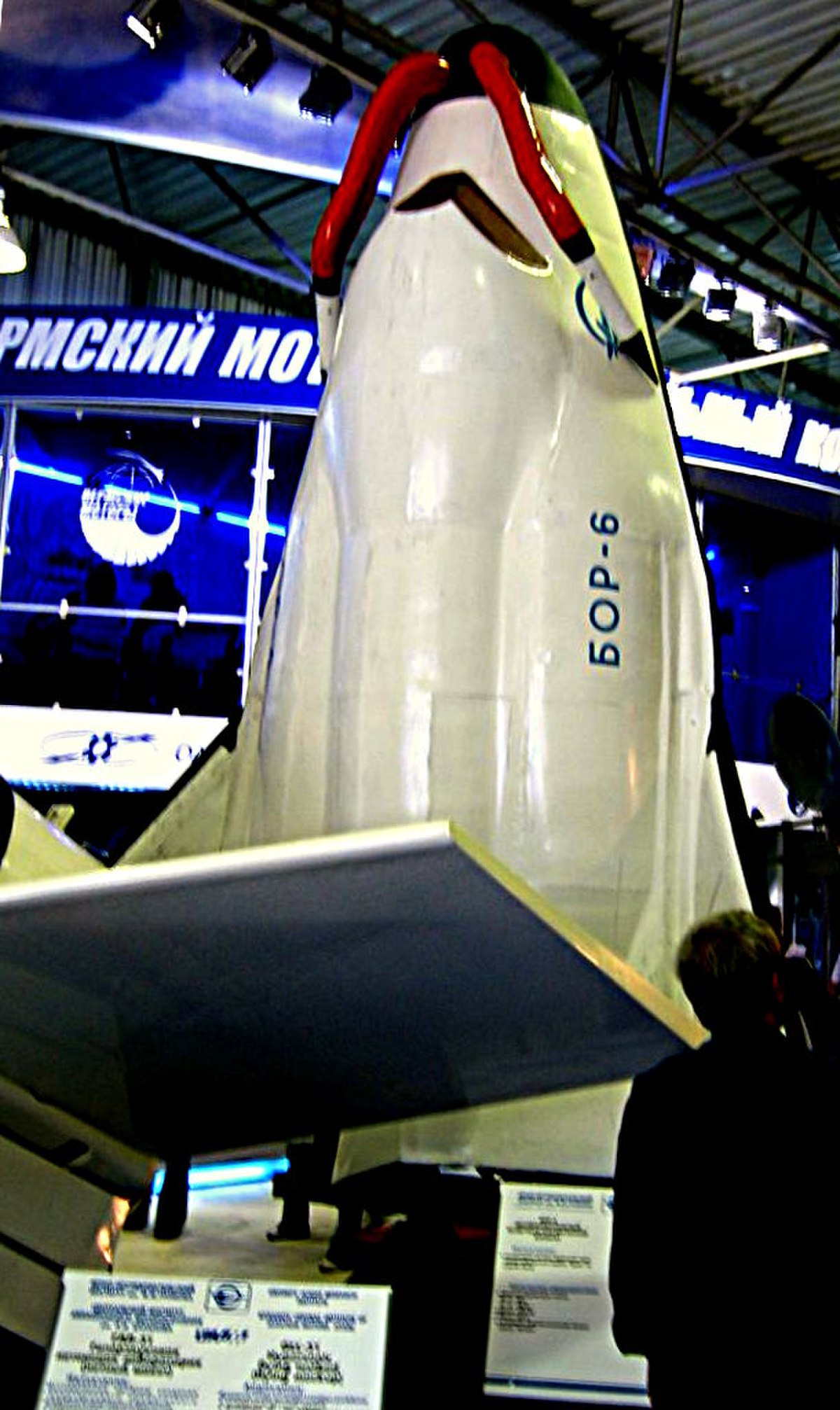 BOR-6.jpg