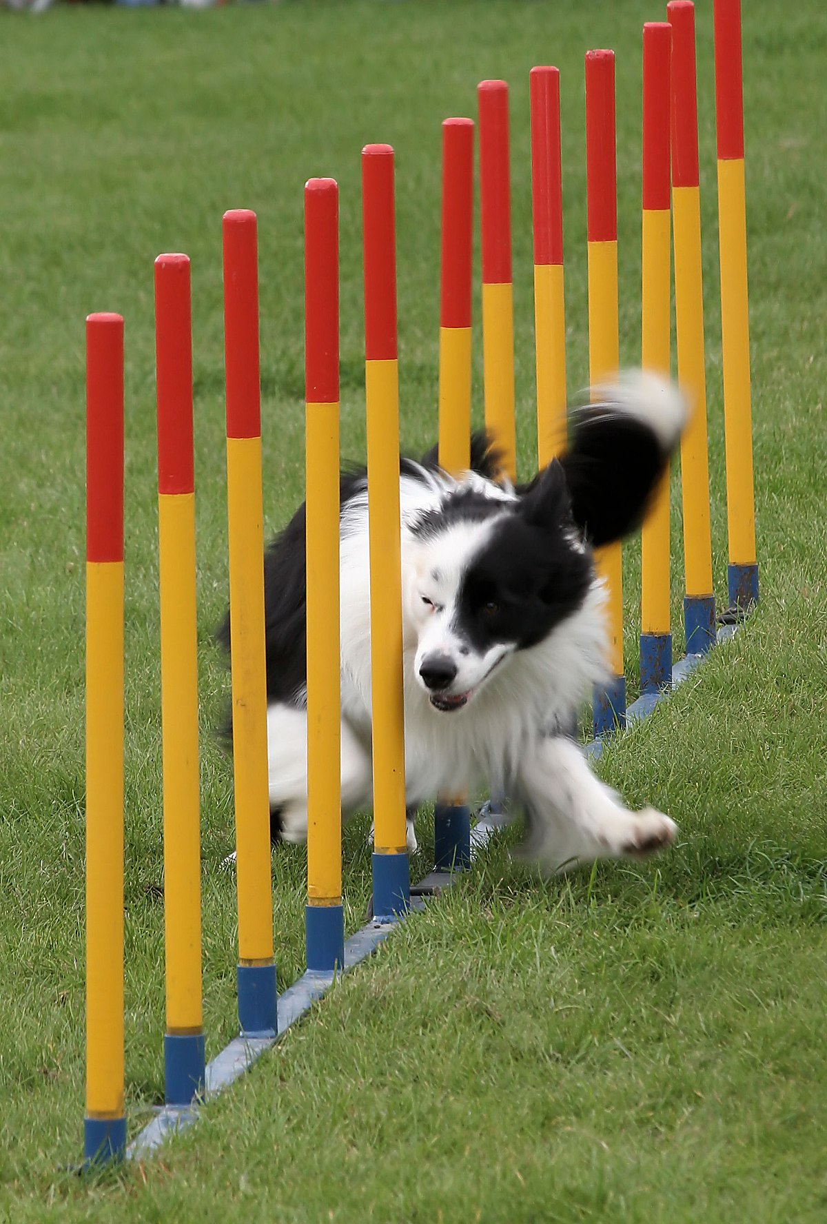 Agility