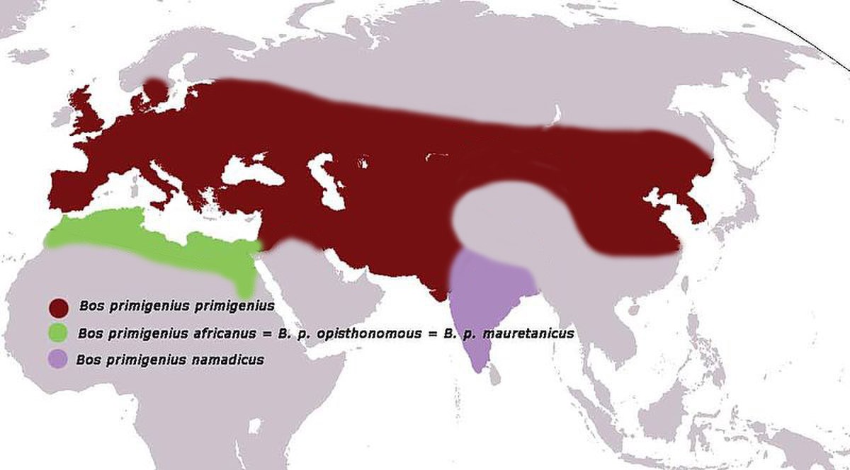 La carte de l'habitat originel de l'aurochs