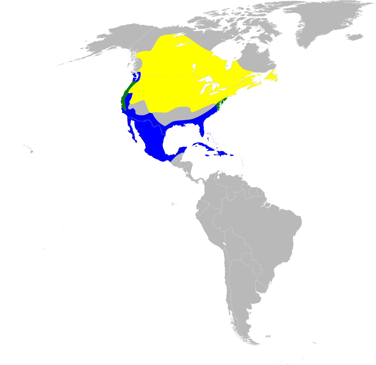 Botaurus lentiginosus map.svg