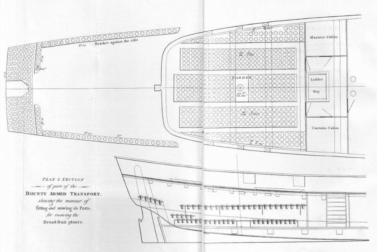 Section en coupe de la Bounty d'après une relation de William Bligh
