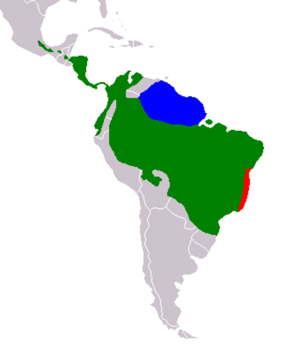 Bradypus Range.png