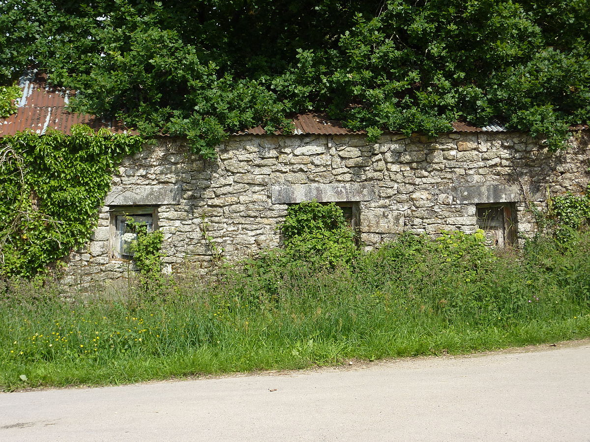 Friche