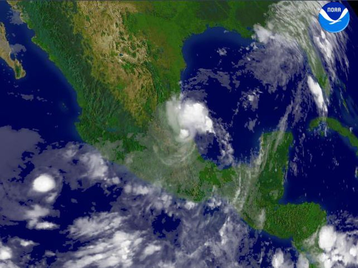 Tempête tropicale Bret (2005)