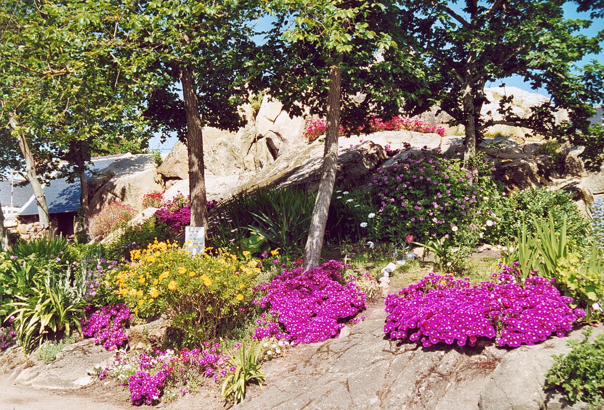Bretagne Brehat 02.jpg