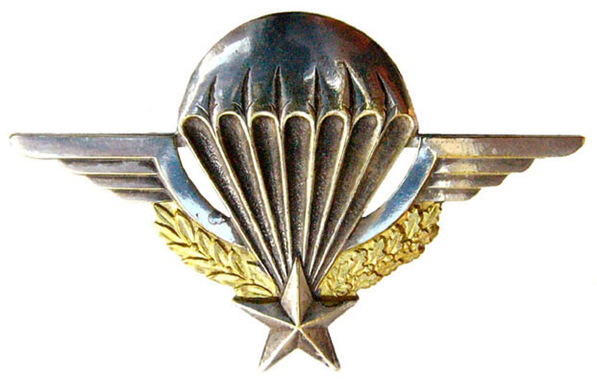 brevet parachutiste de l'armée française
