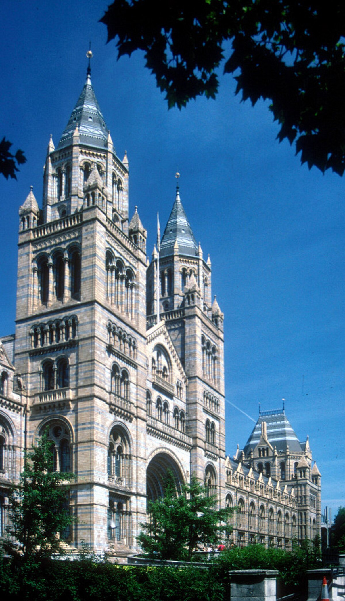 Musée d'histoire naturelle de Londres