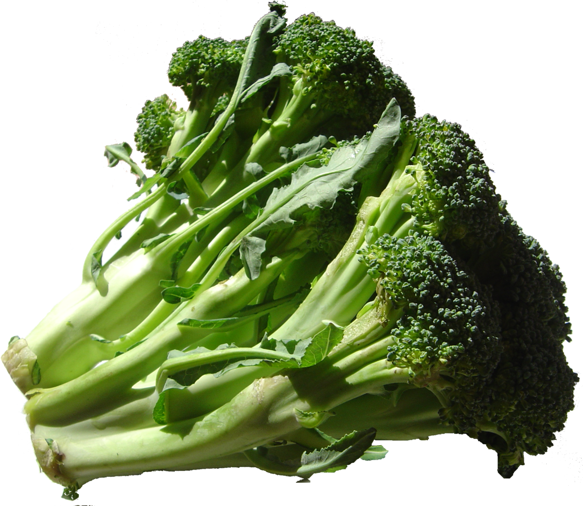 Broccoli DSC00862.png