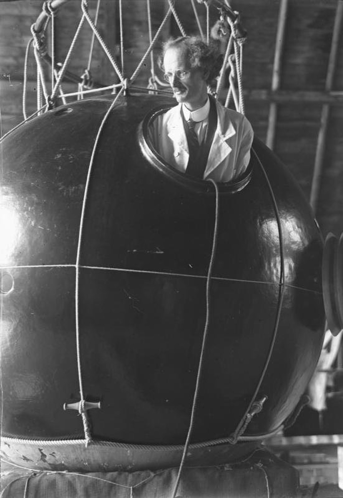 1931 en science