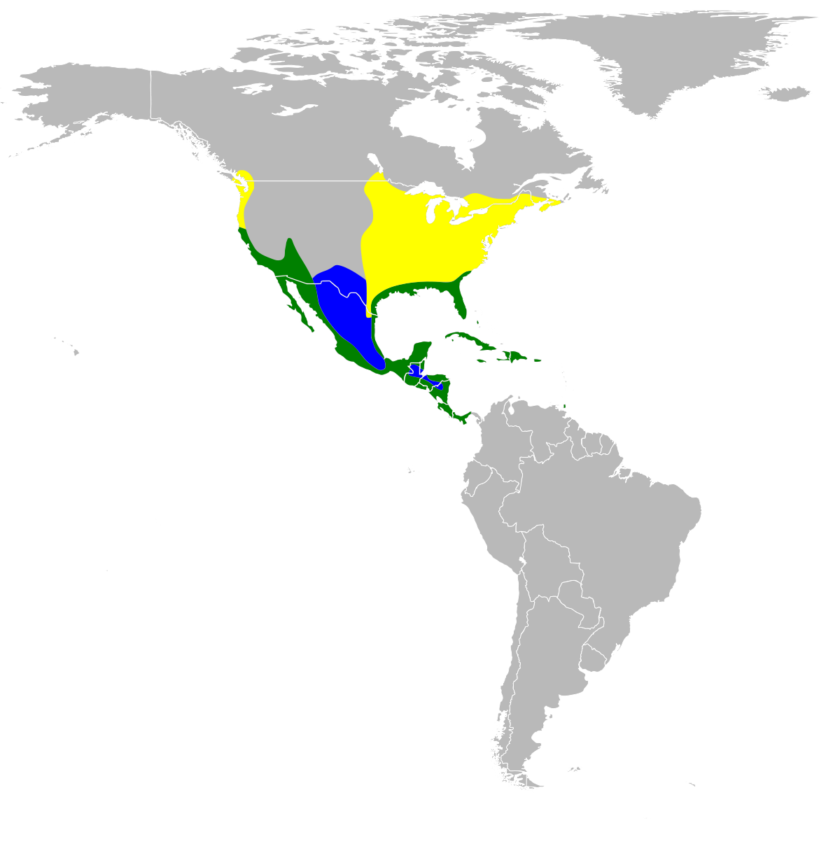 Butorides virescens.svg