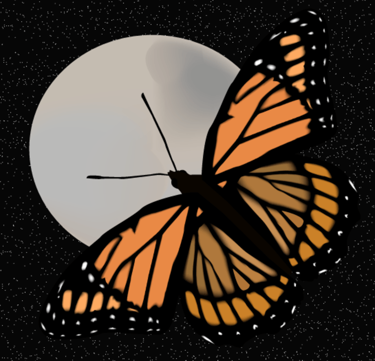Effet papillon