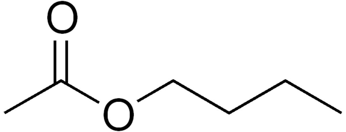 Structure de l'acétate de butyle