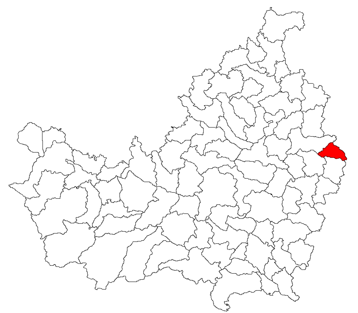 Buza