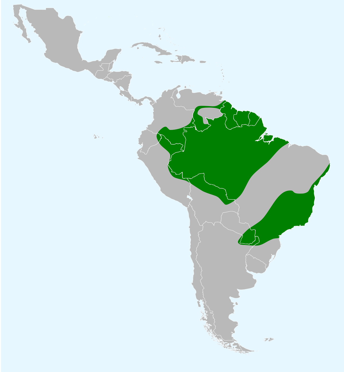 Répartition du Cassique cul-rouge