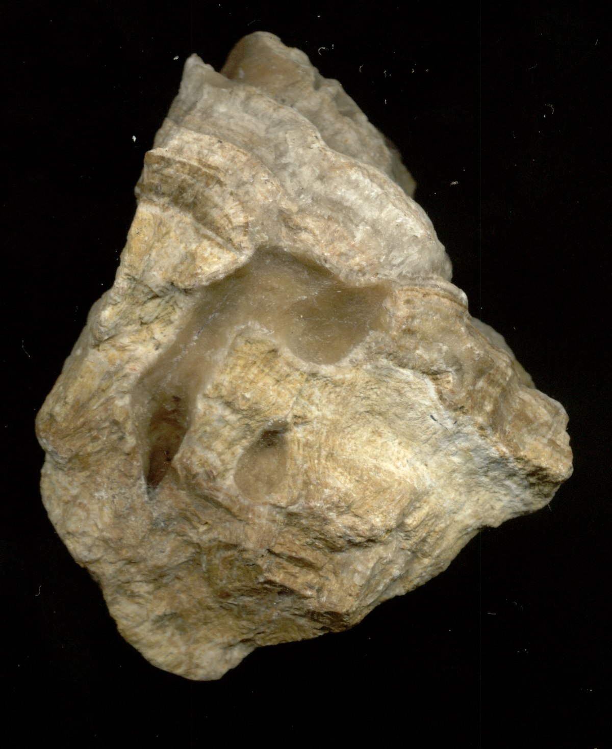 Travertin