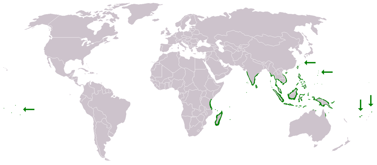 Calophyllum inophyllum distribution.PNG