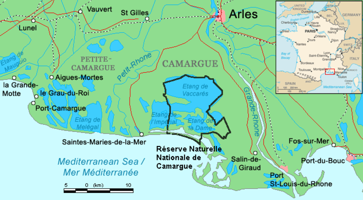 Camargue