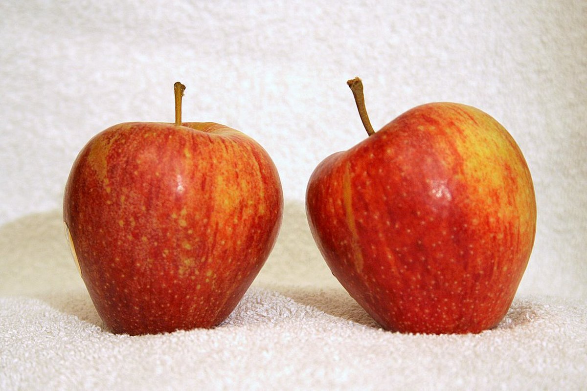 Cameo (pomme)