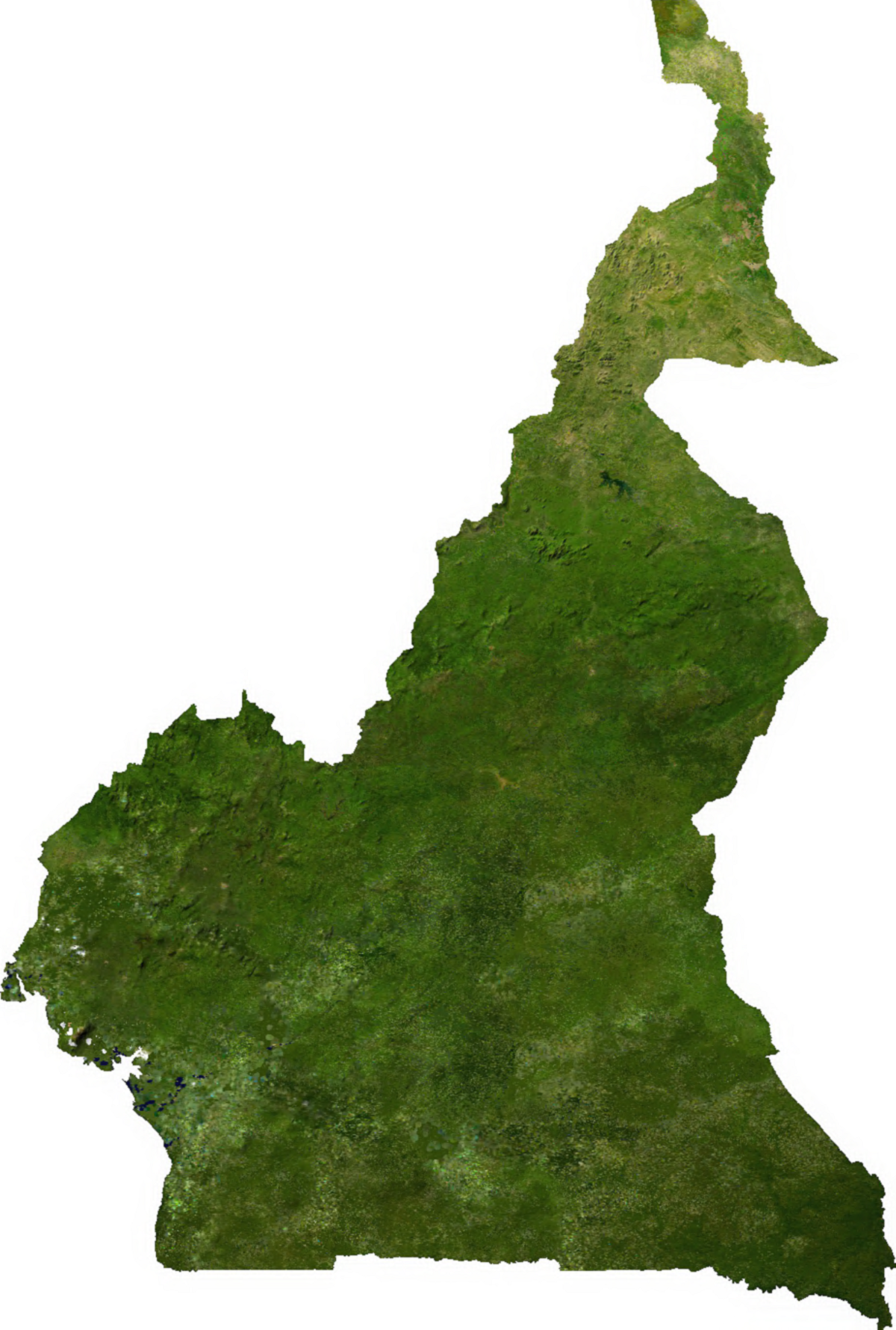 Géographie du Cameroun
