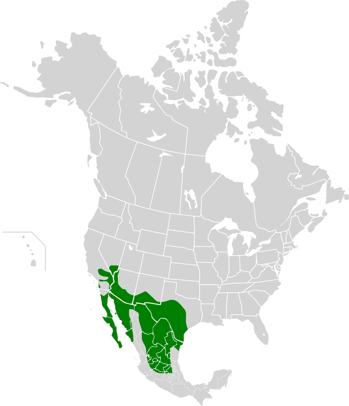 Répartition du Troglodyte des cactus
