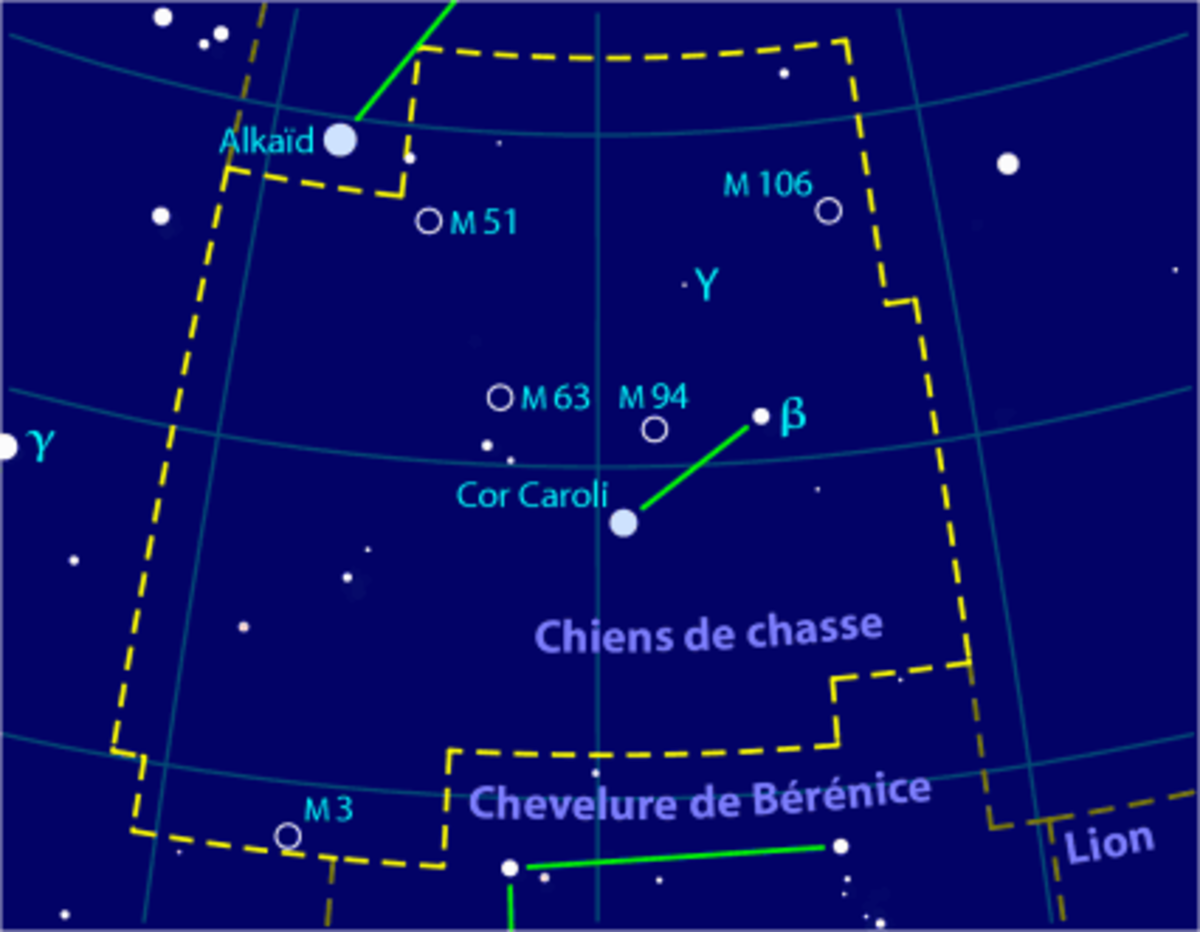 Chiens de chasse