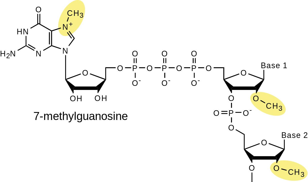 Modification post-transcriptionnelle