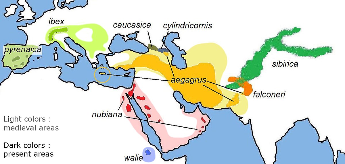 Répartition des espèces