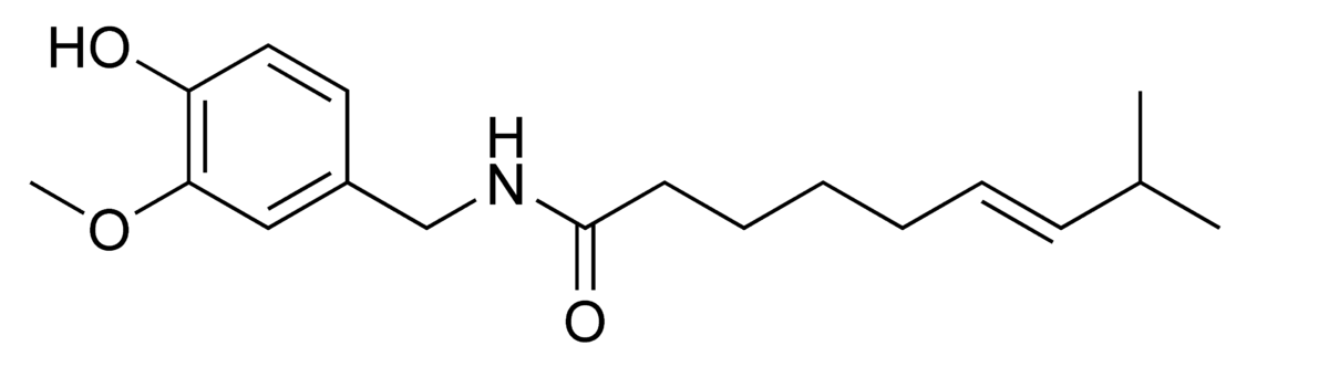Capsaïcine