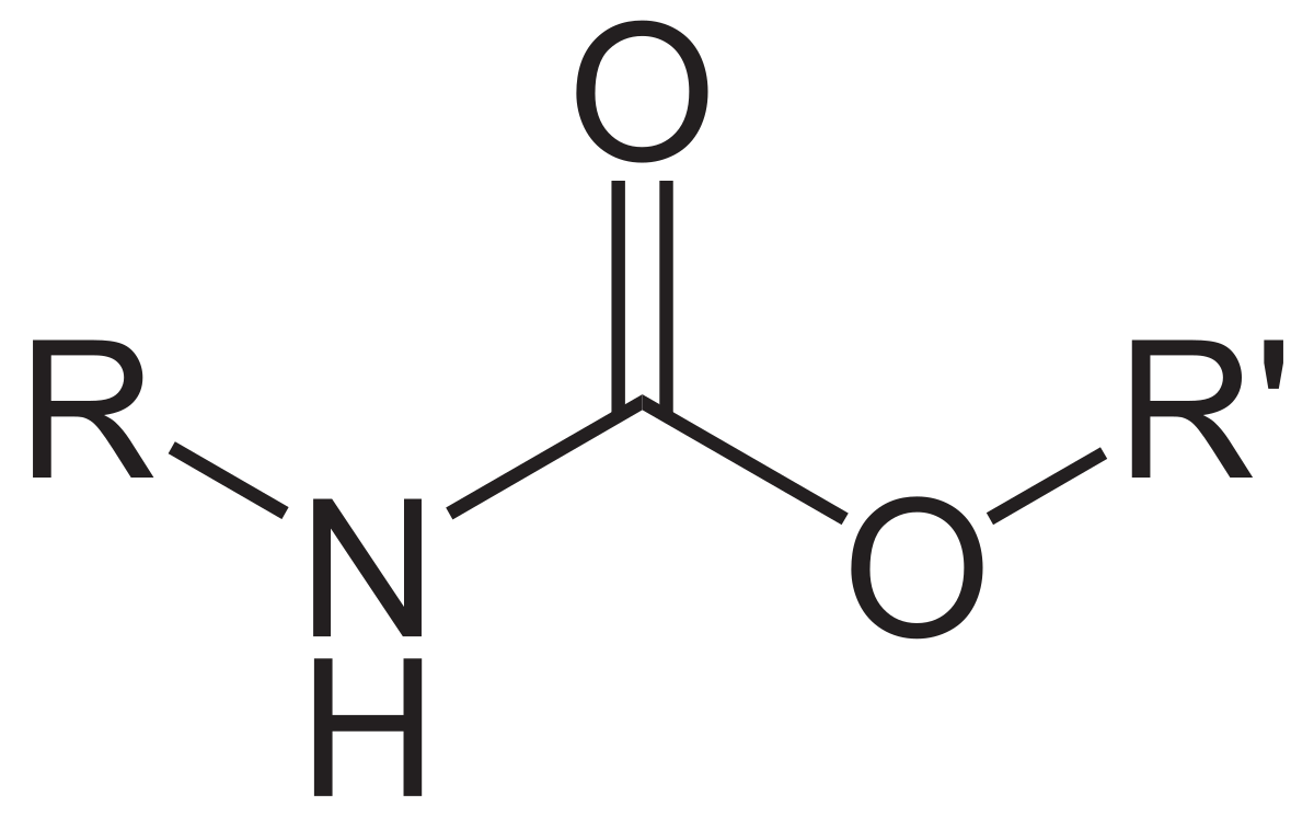 Hydrazide