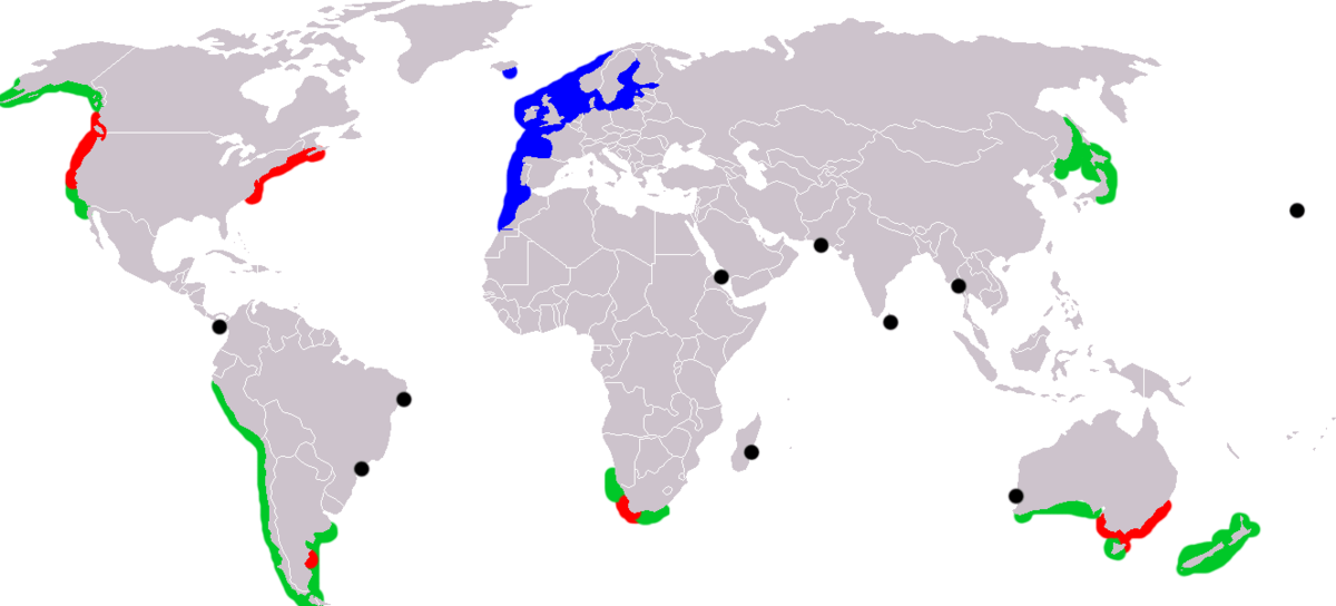 Carcinus maenas range.png