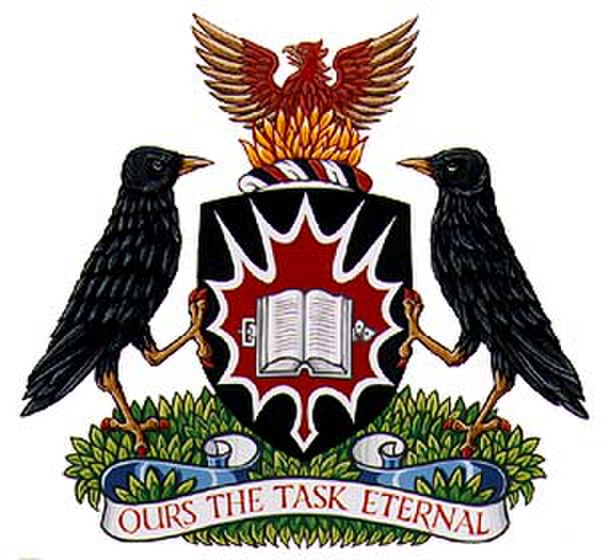 Université Carleton