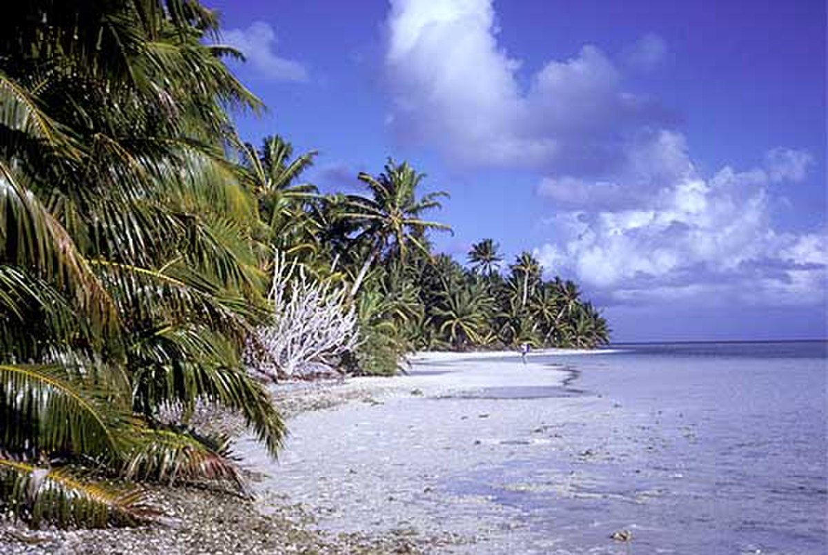 CarolinePic-Kepler-South.jpg