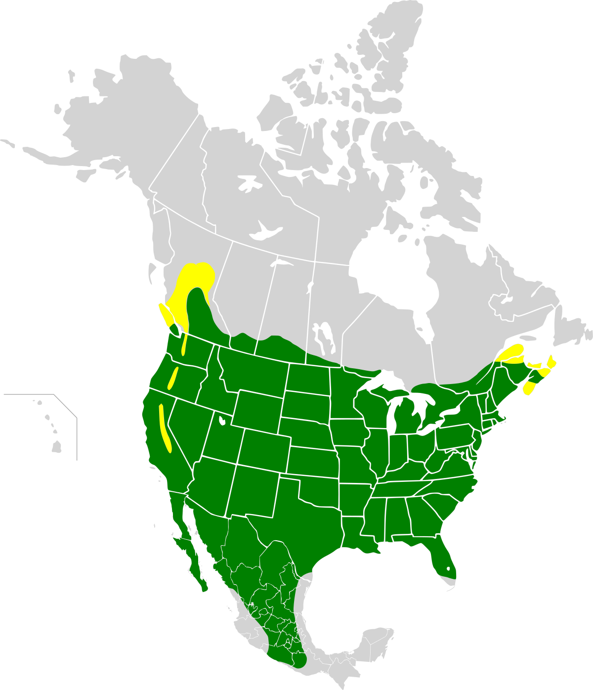 Carpodacus mexicanus map.svg