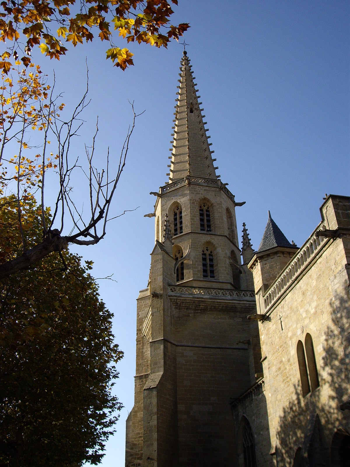 Ancienne cathédrale Saint-Maurice de Mirepoix