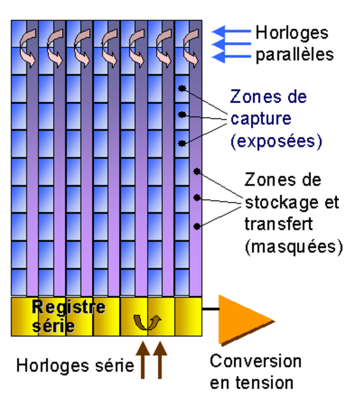 Interligne