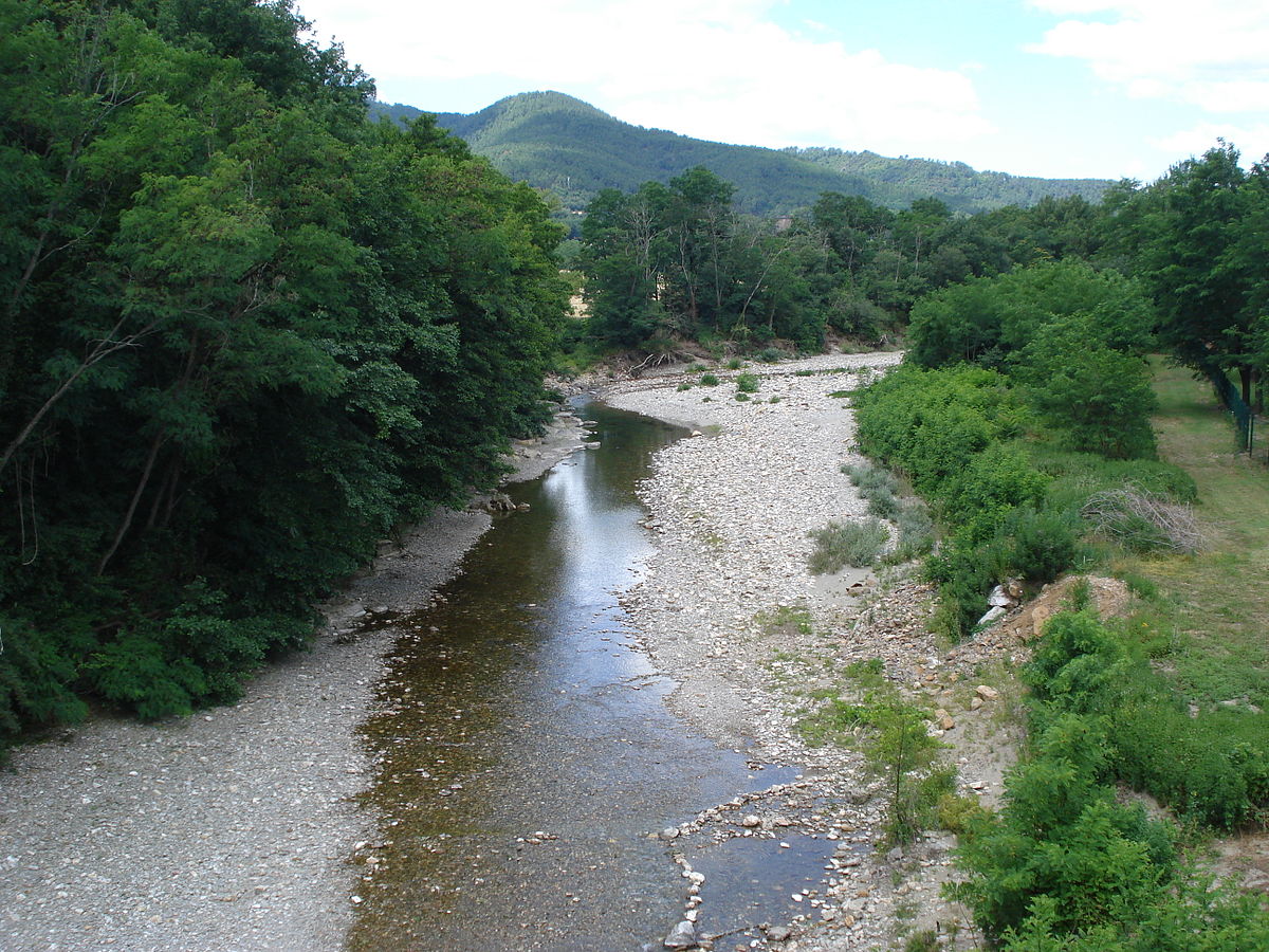 Galeizon
