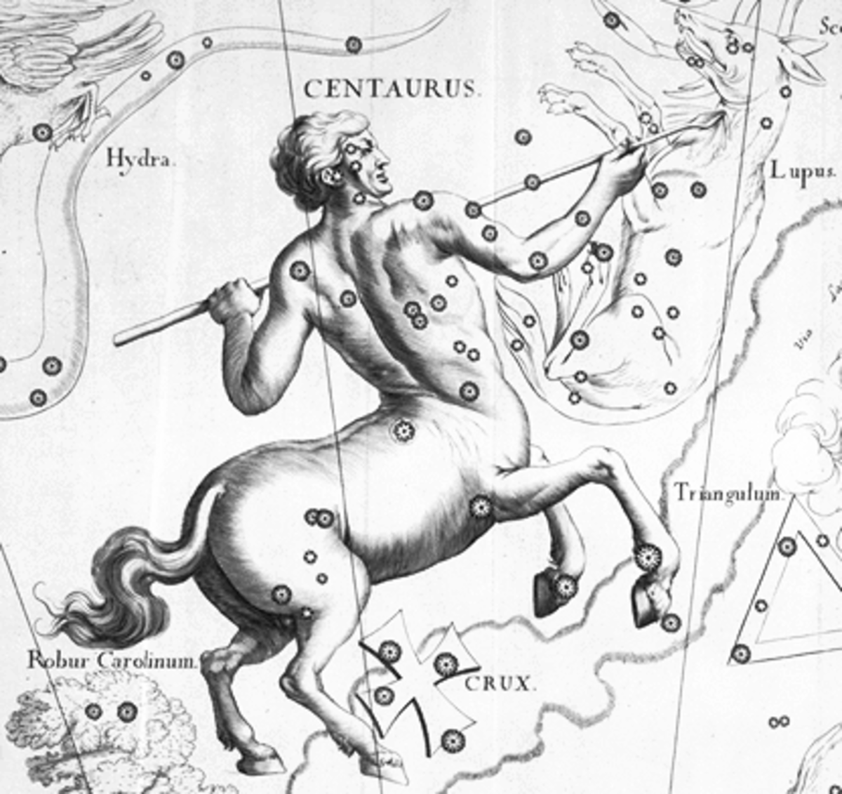 Centaurus hevelius.png