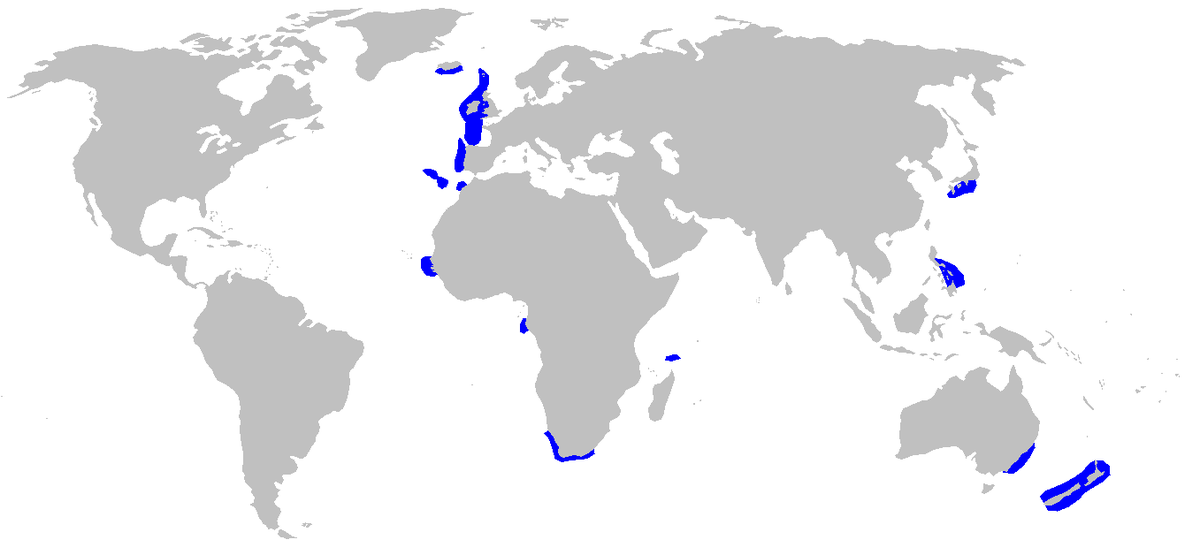 Centrophorus squamosus distmap.png