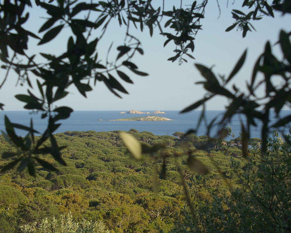 Îles Cerbicale