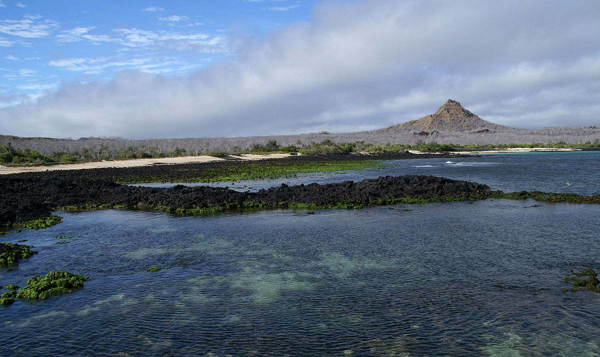 Île Santa Cruz (îles Galápagos)