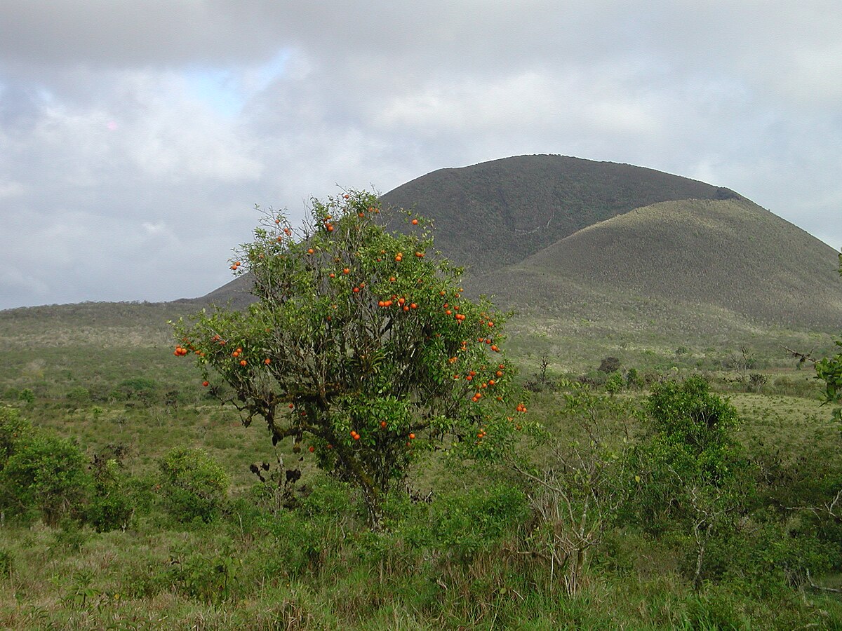 Cerro Pajas