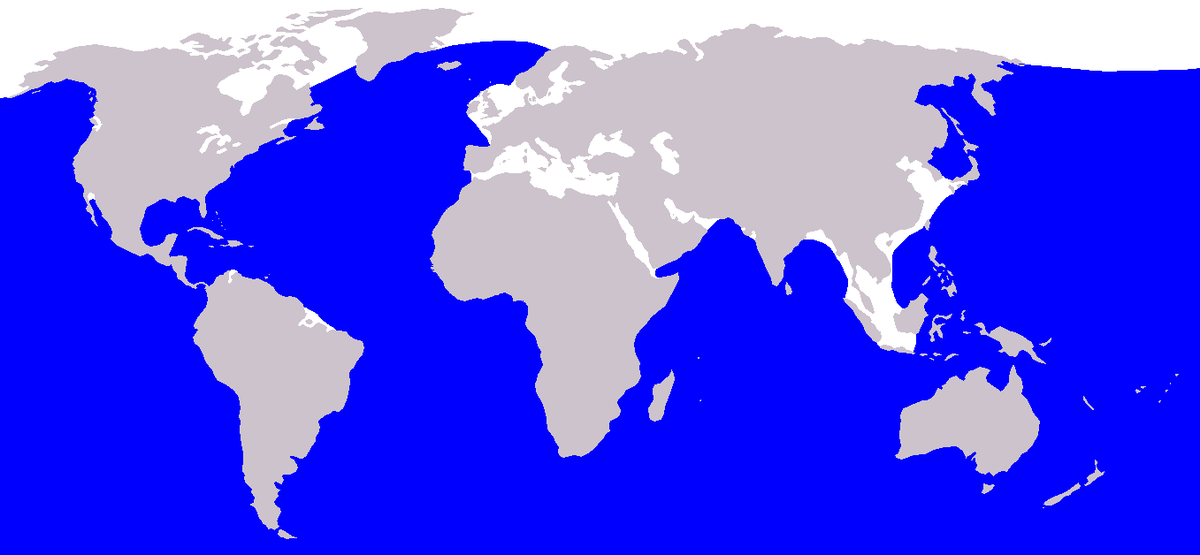 Cetacea range map Blue Whale.PNG