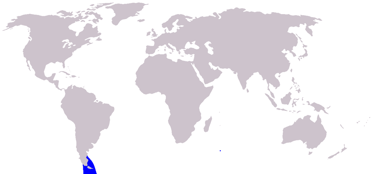 Cetacea range map Commerson's Dolphin.PNG