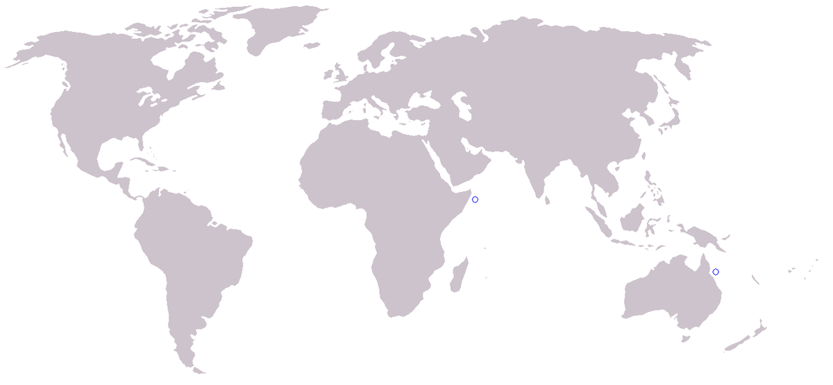 Indopacetus pacificus